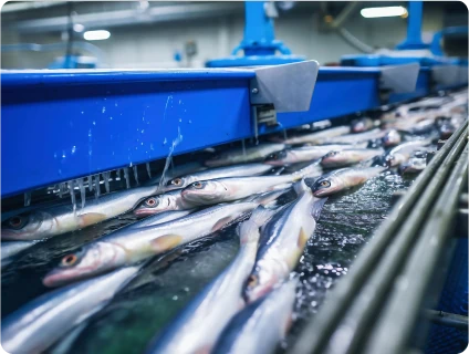 Переработка рыбы